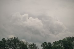 JK_229
