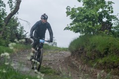 PeFlo_075