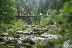 PeFlo_082