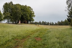 400ultra25_JK_00272